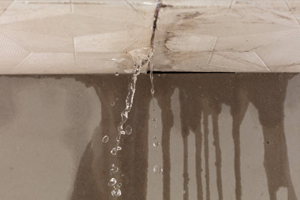 Professional Water Damage Inspection technician working in Oxford, MA